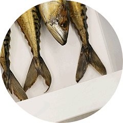 Fischbox
